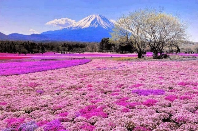 Hokkaido, Jepang